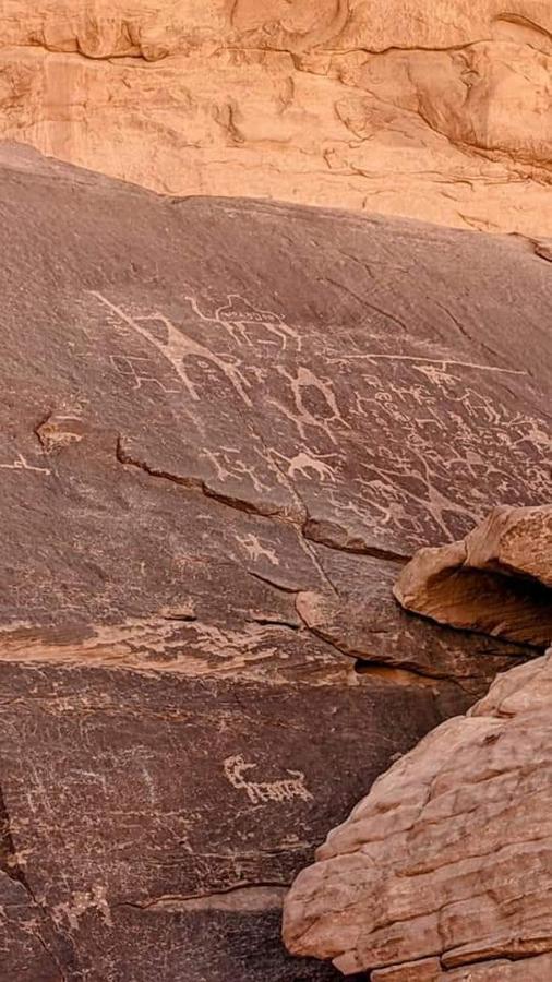 Enad Desert Camp ワディ ・ラム エクステリア 写真