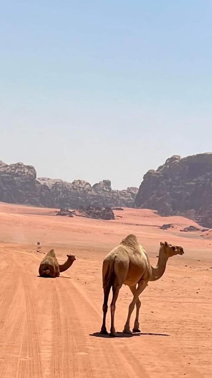 Enad Desert Camp ワディ ・ラム エクステリア 写真