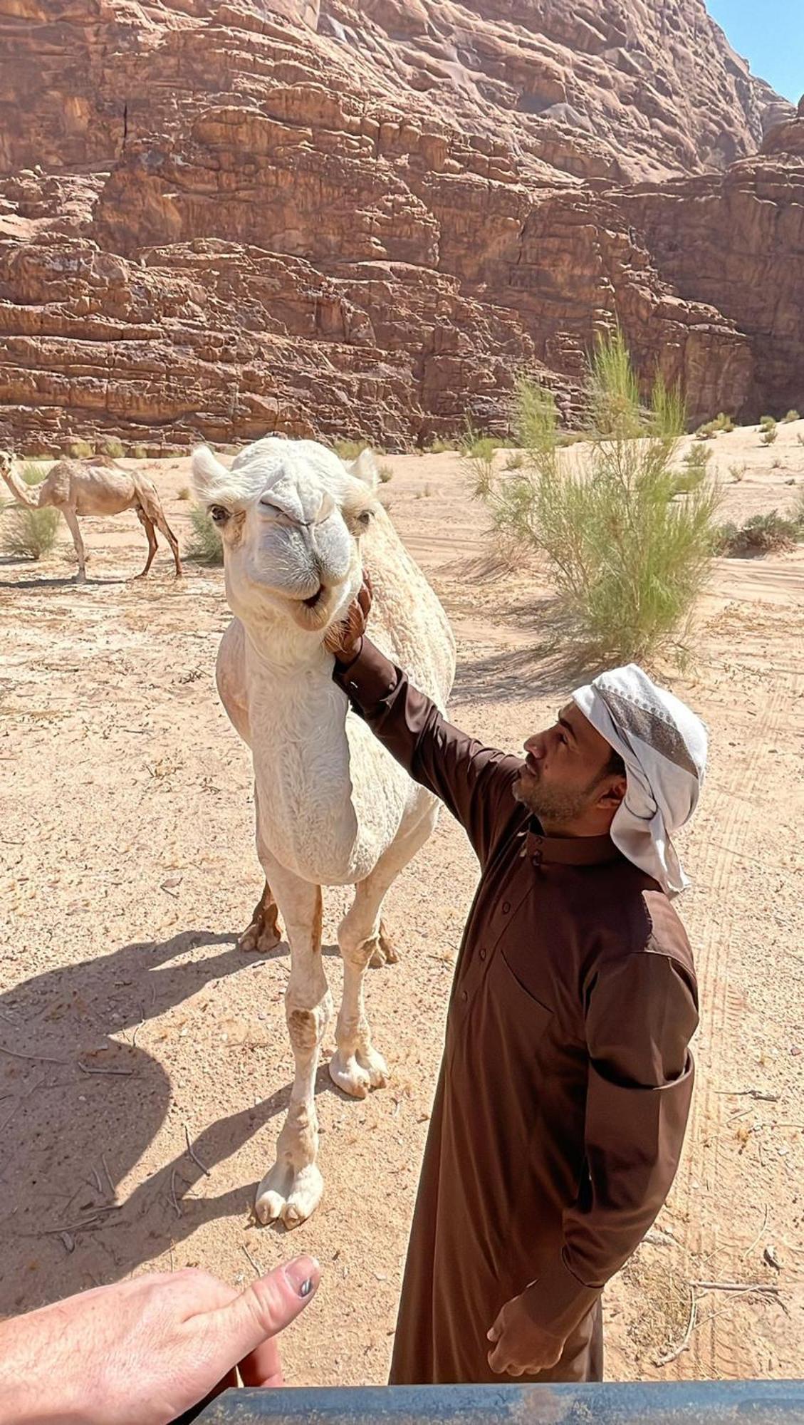 Enad Desert Camp ワディ ・ラム エクステリア 写真